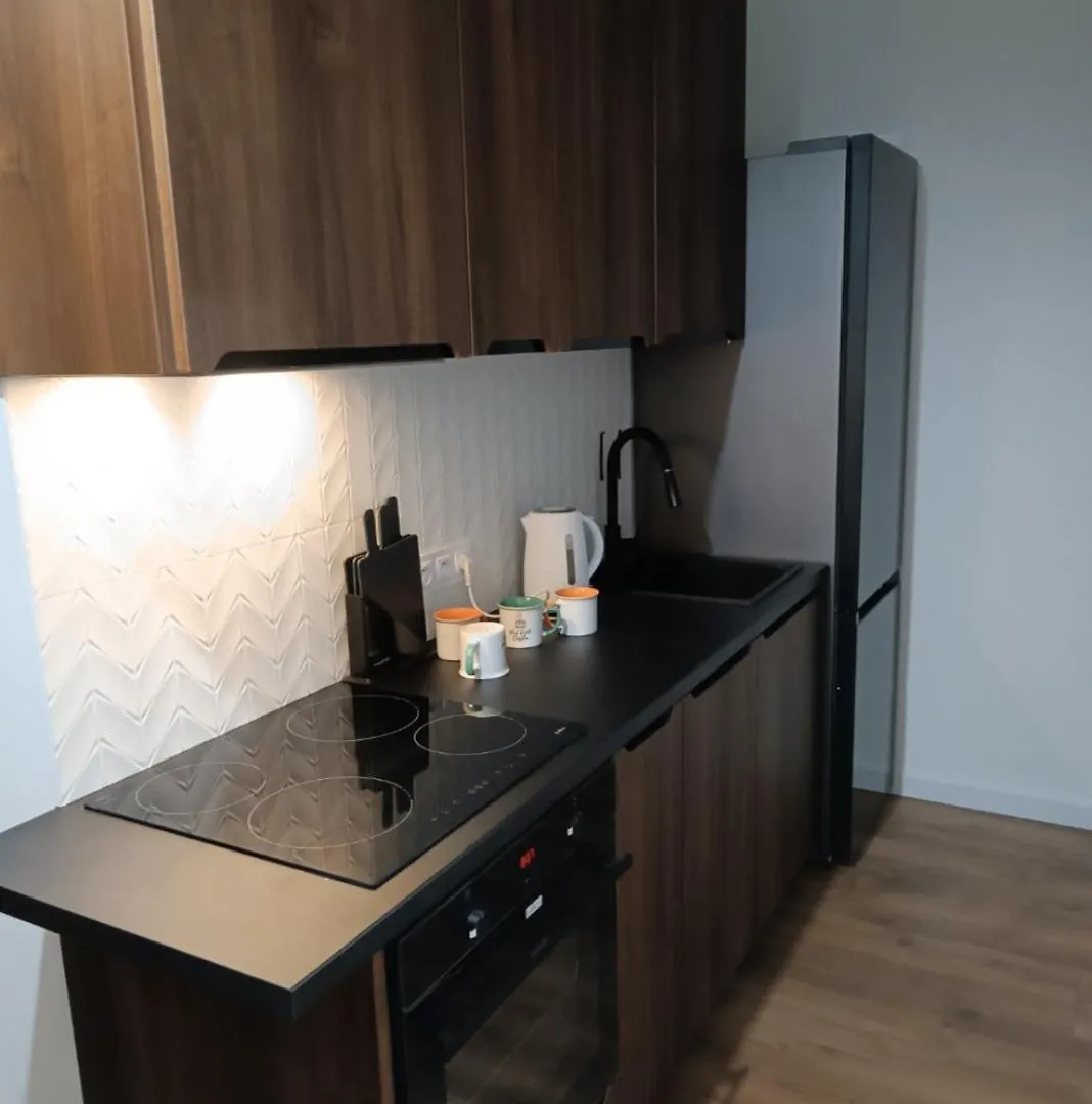 Apartment Cracow Stay Inn Home Krakow Poland